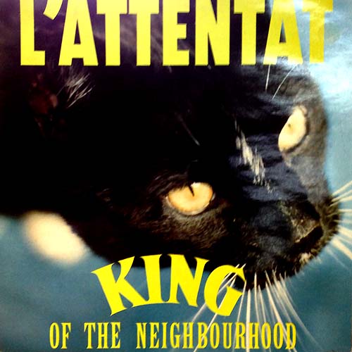L'Atentat LP Cover With Cat Record Artwork