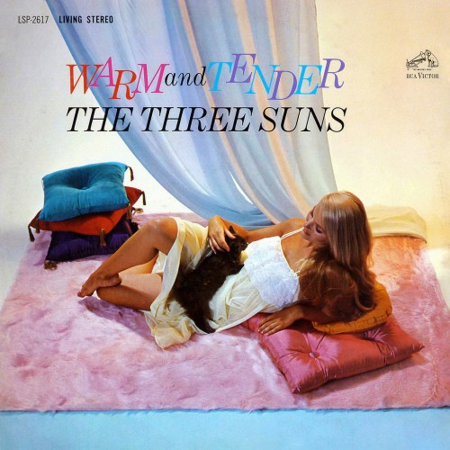 the three suns warm and tender vinyl lp cover with cat cheesecake cover art