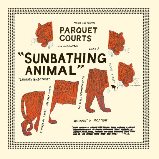 the-parquet-courts-sunbathing-animal-lp-album-cover-with-cat-tiger-artwork