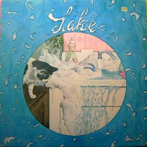 lake record album cover with cat artwork art